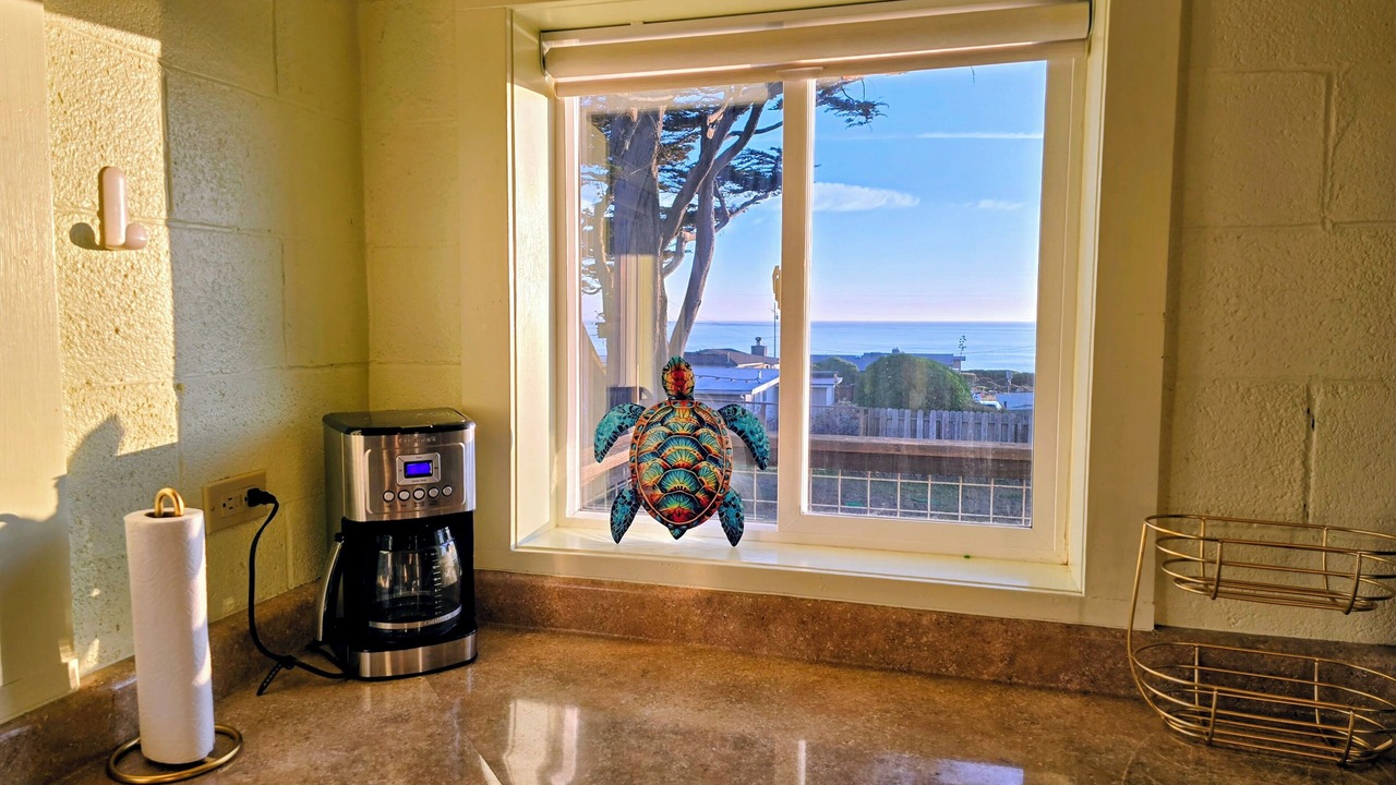 Photo of Others in Bodega Bay