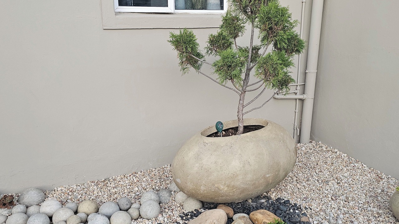 Photo of Outdoor in Bluewater Bay