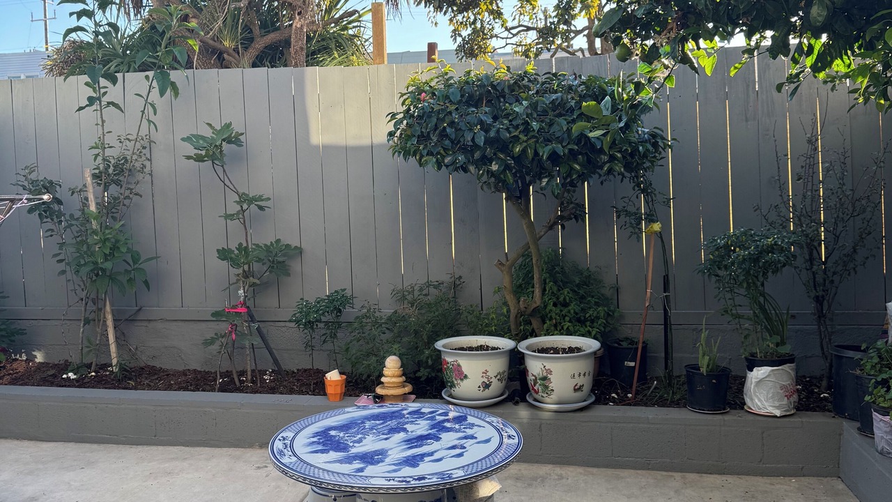 Photo of Patio Balcony in Outer Mission