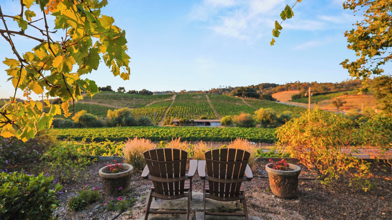 Photo of Outdoor in Geyserville