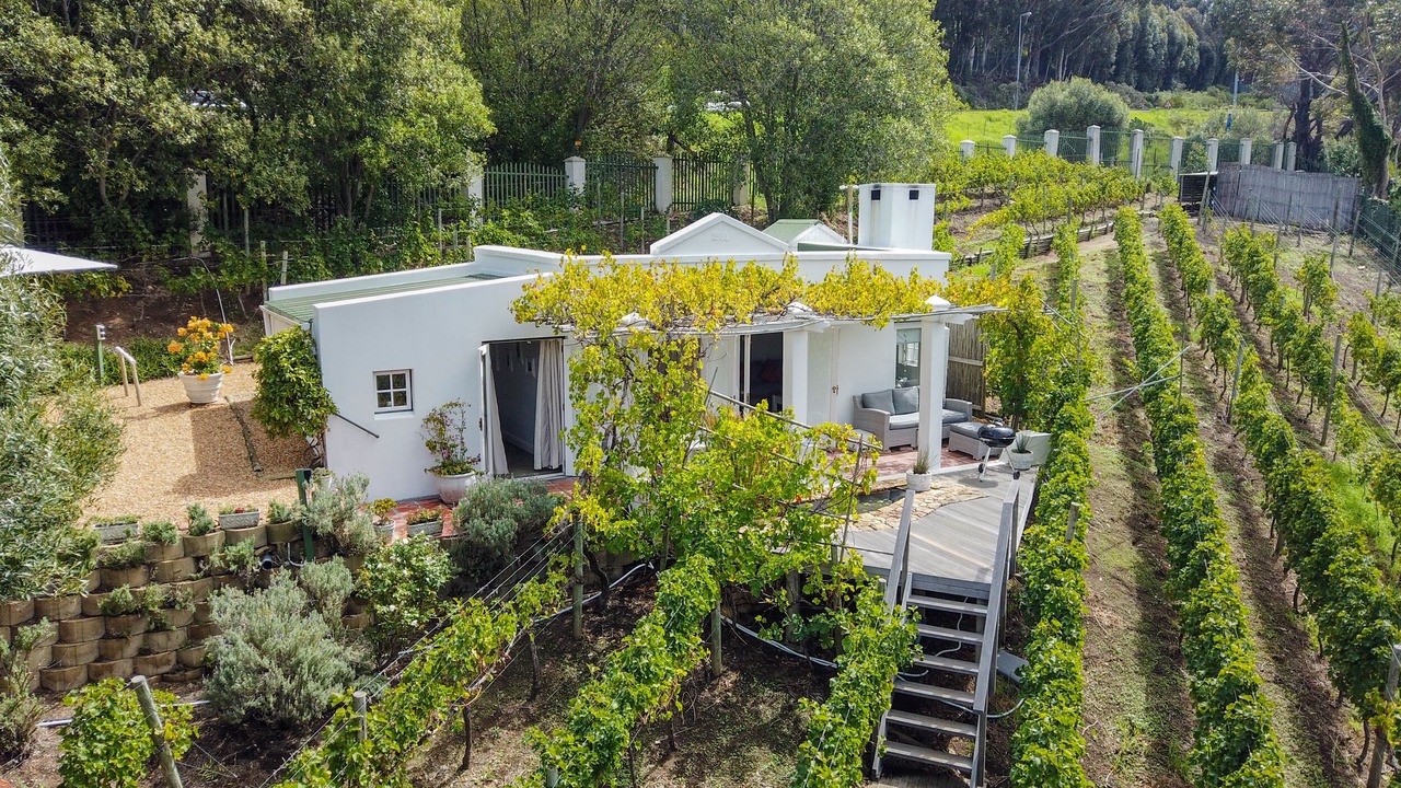 Photo of Outdoor in Hout Bay
