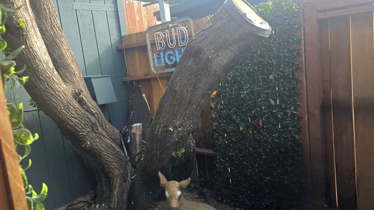 Photo of Outdoor in Vallejo