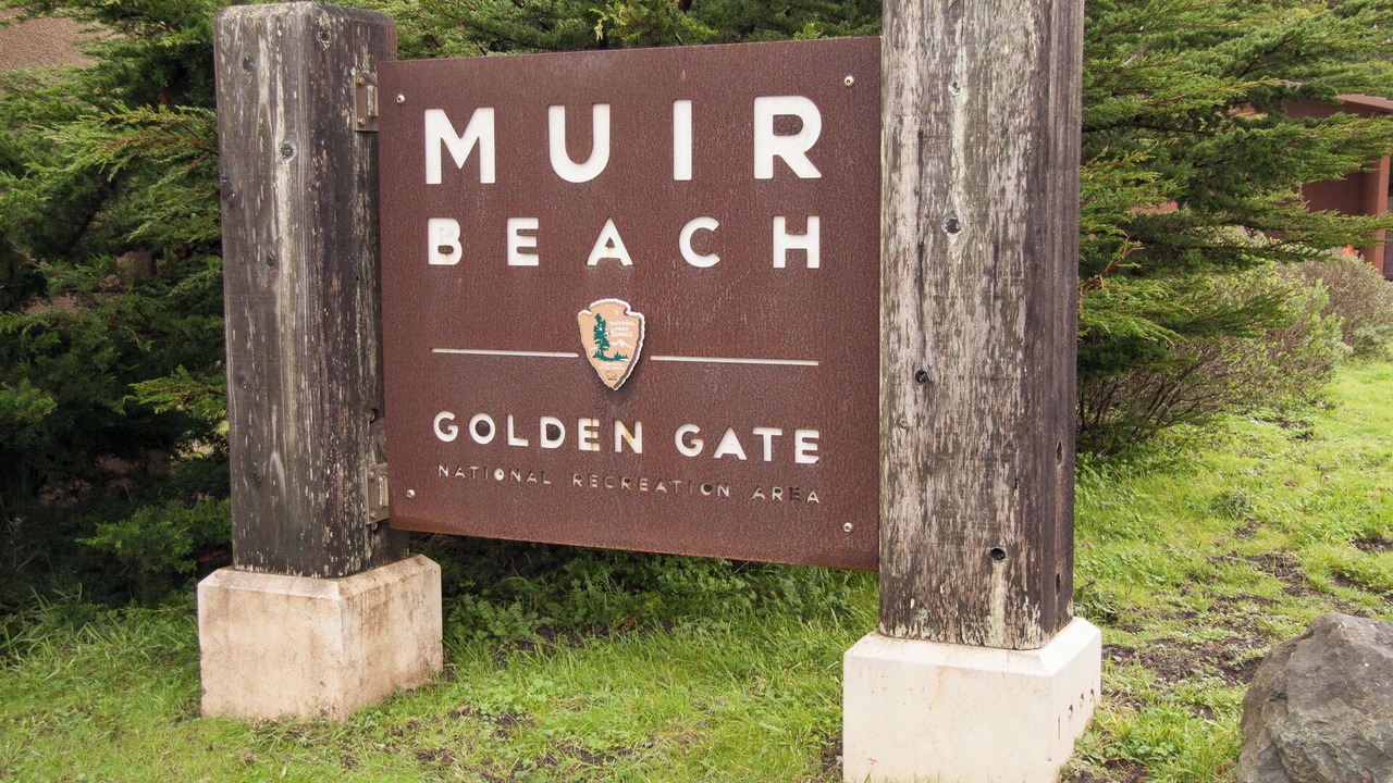 Photo of Others in Muir Beach