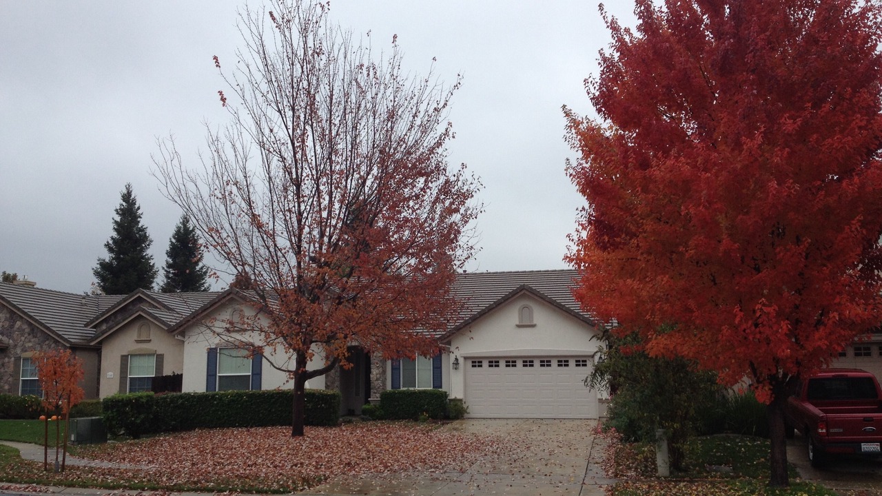 Photo of Outdoor in Willow Creek