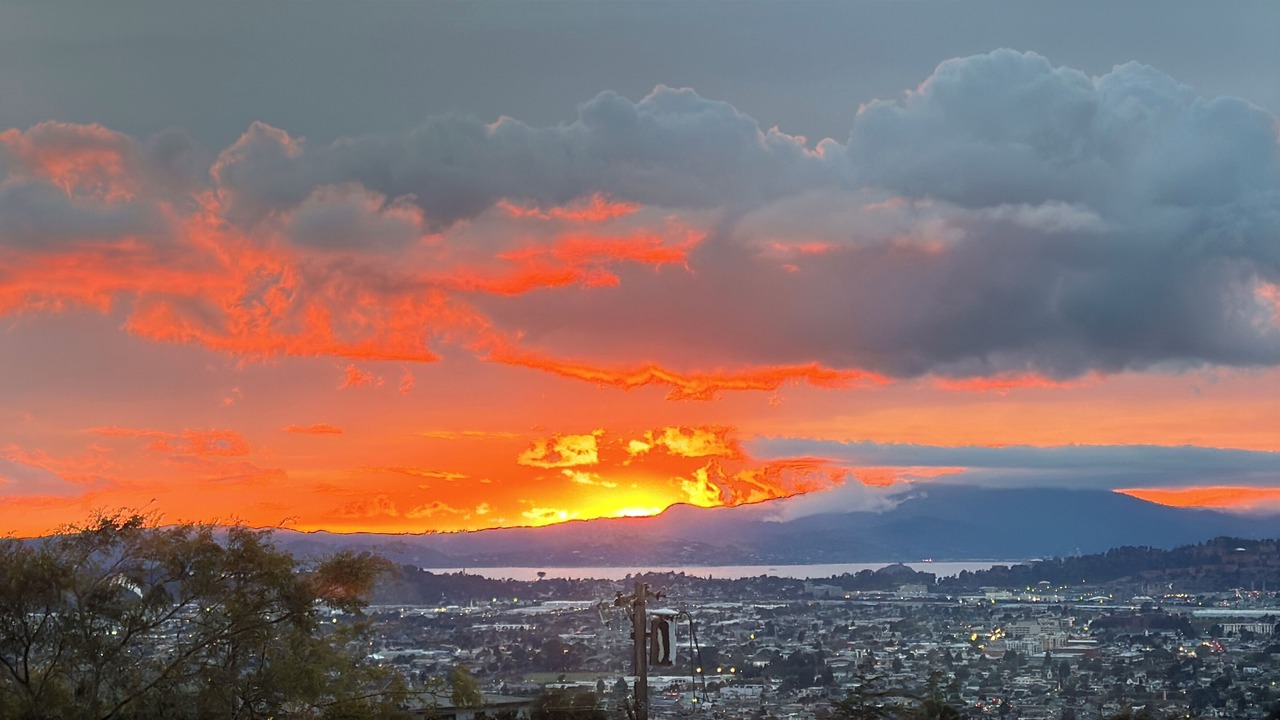 Photo of Others in El Cerrito