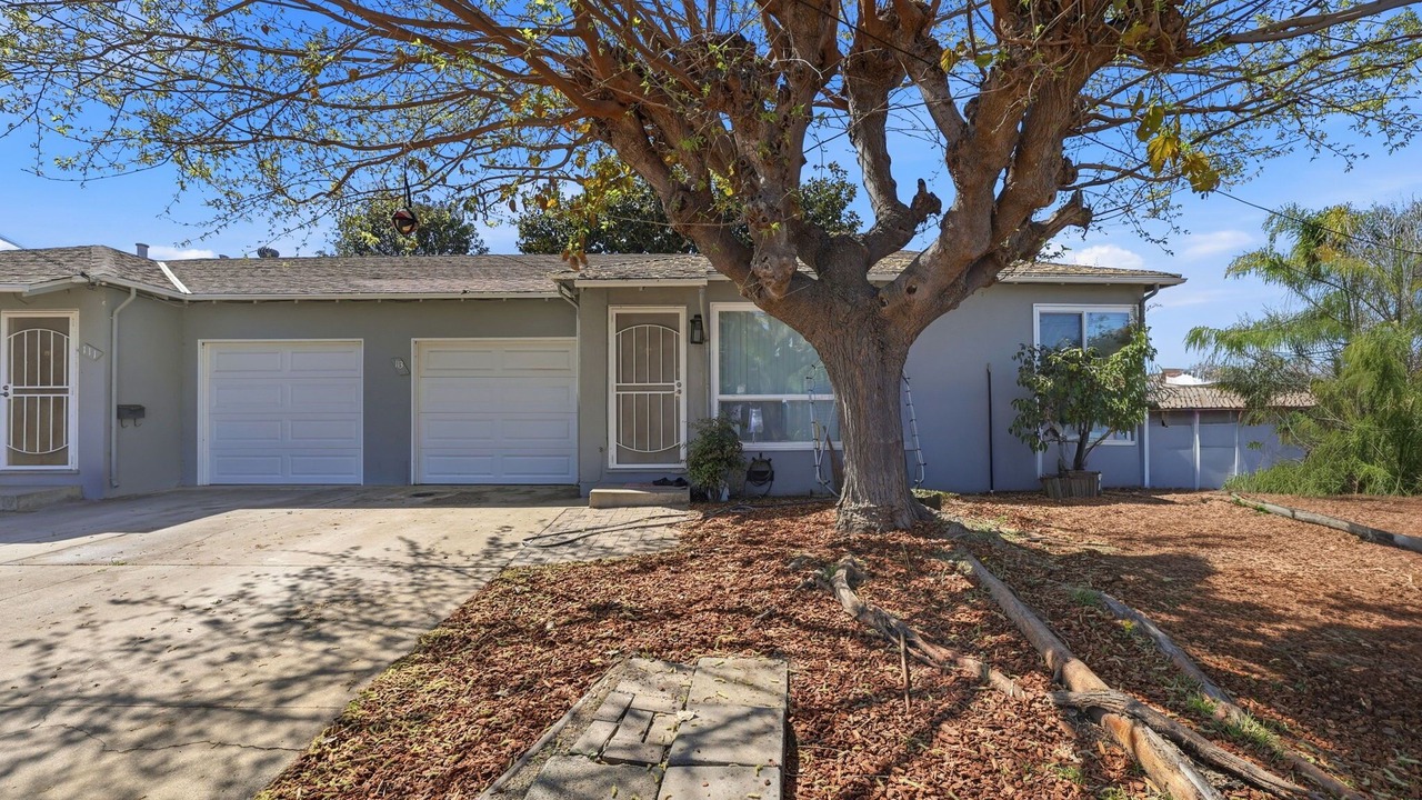 Photo of Outdoor in Old Mountain View