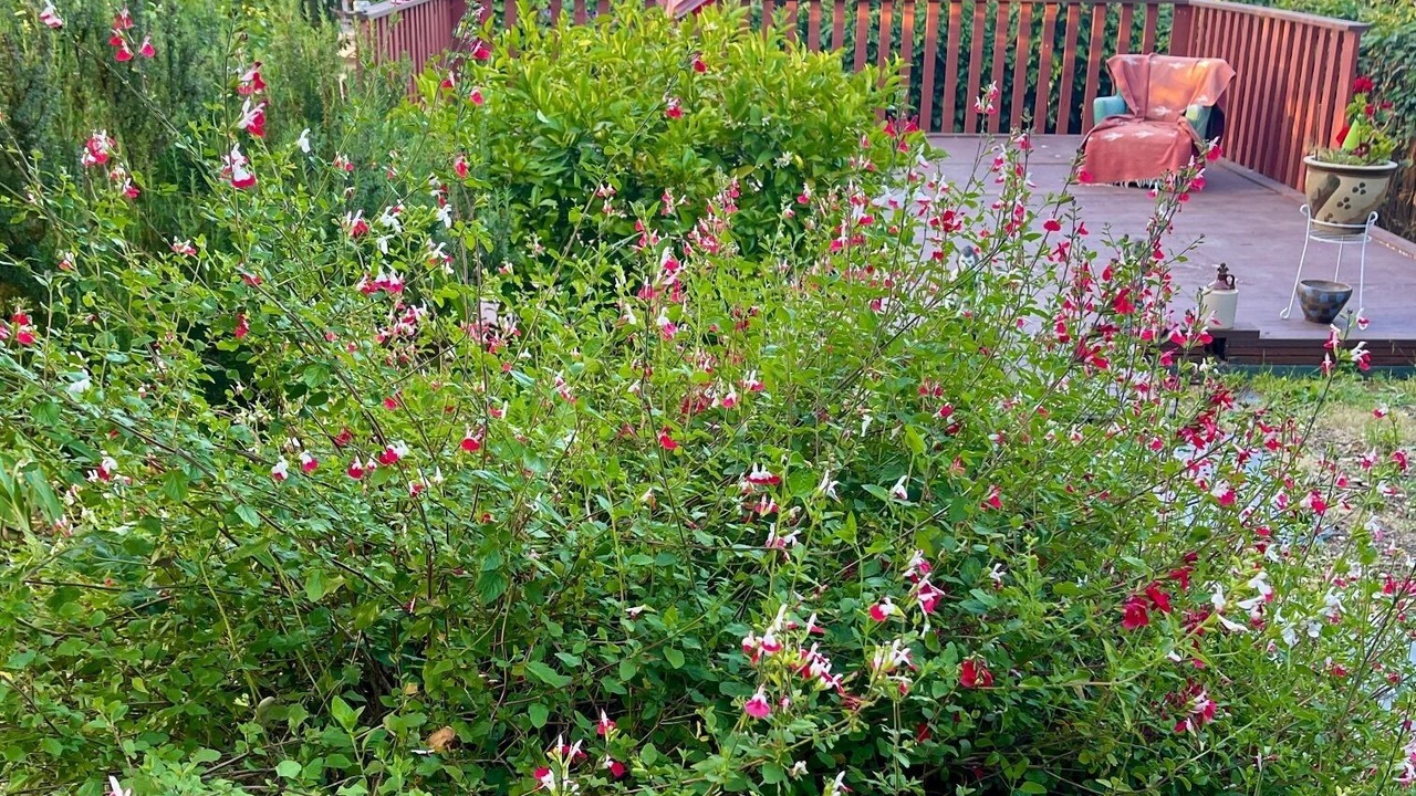 Photo of Outdoor in Oakland