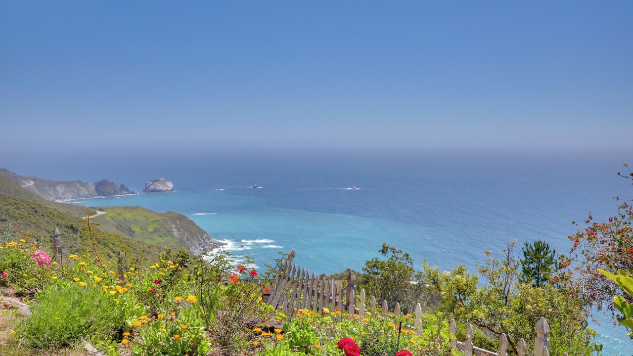 Photo of Others in Big Sur