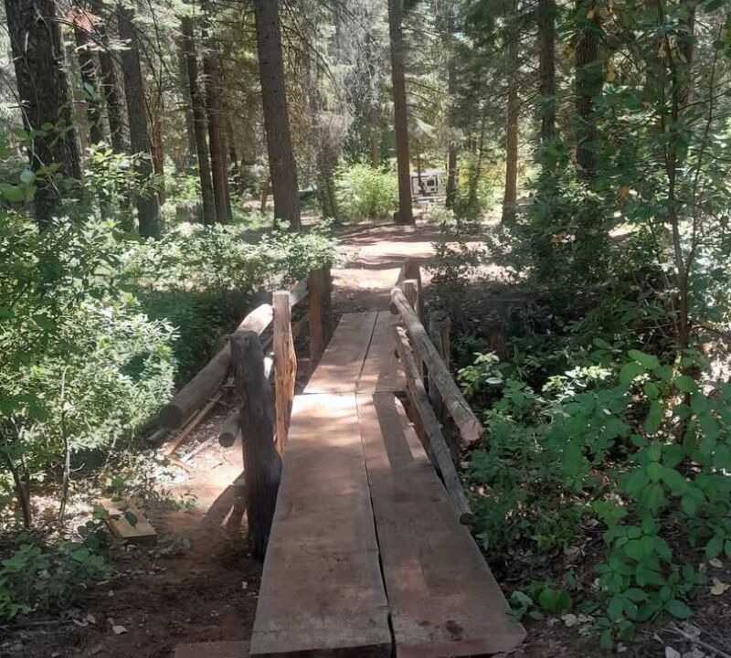 Photo of Others in Nevada City