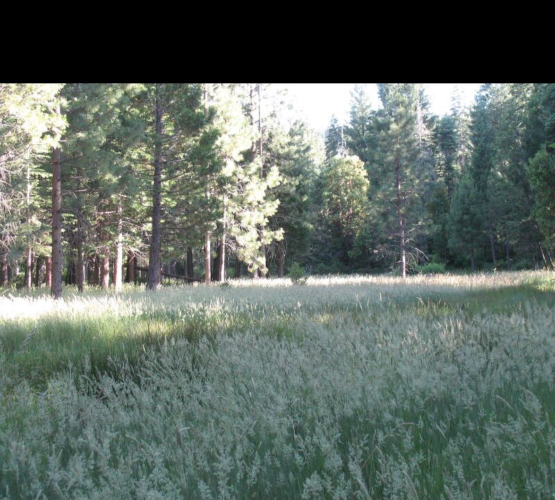 Photo of Others in Nevada City