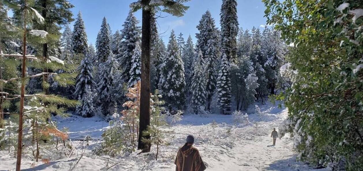 Photo of Others in Nevada City