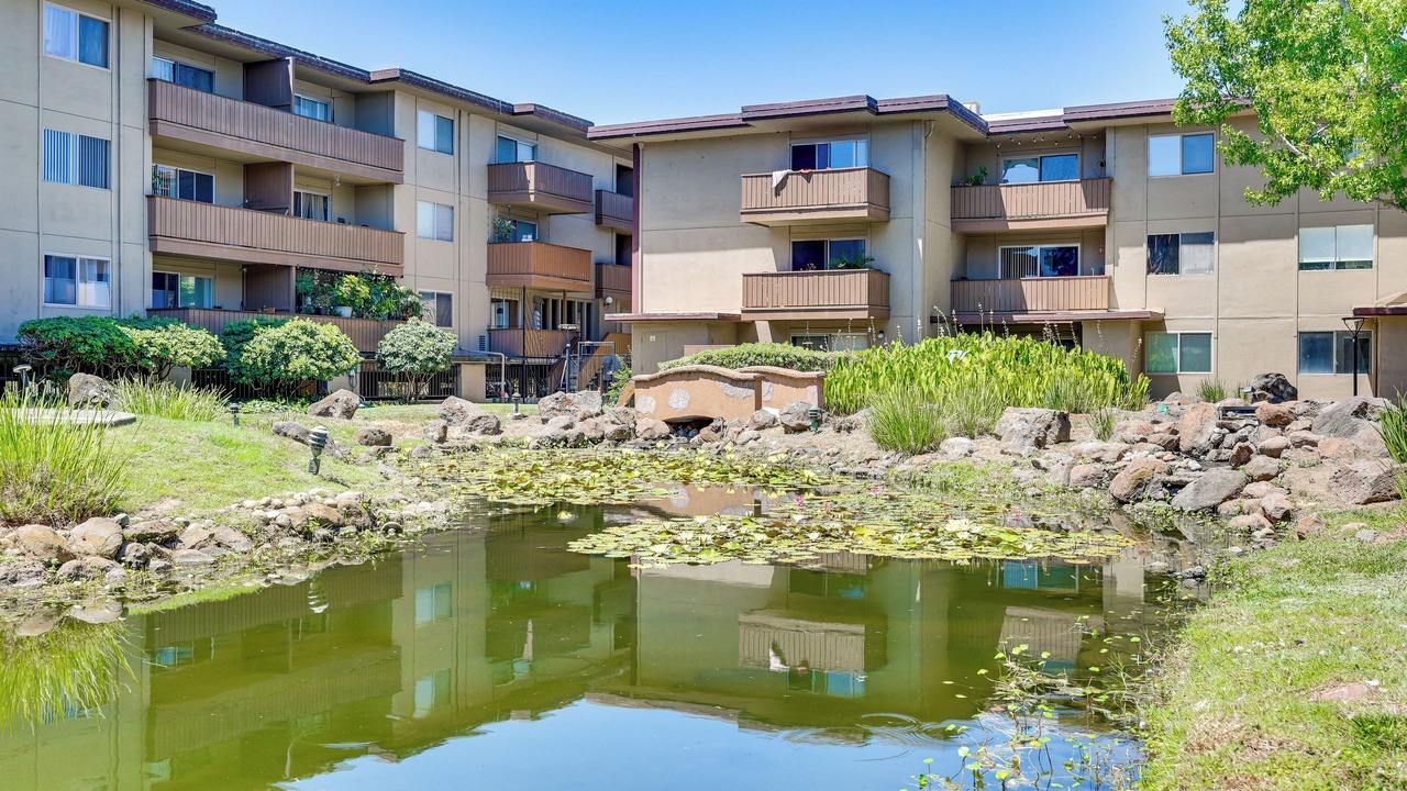 Photo of Outdoor in West Alameda