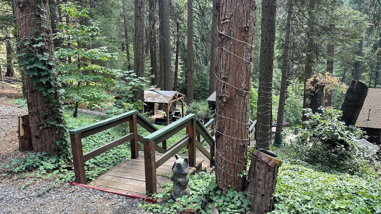 Photo of Outdoor in Pollock Pines