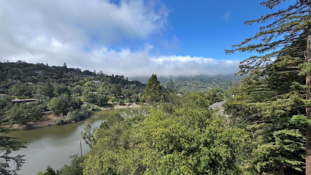Photo of Others in Orinda