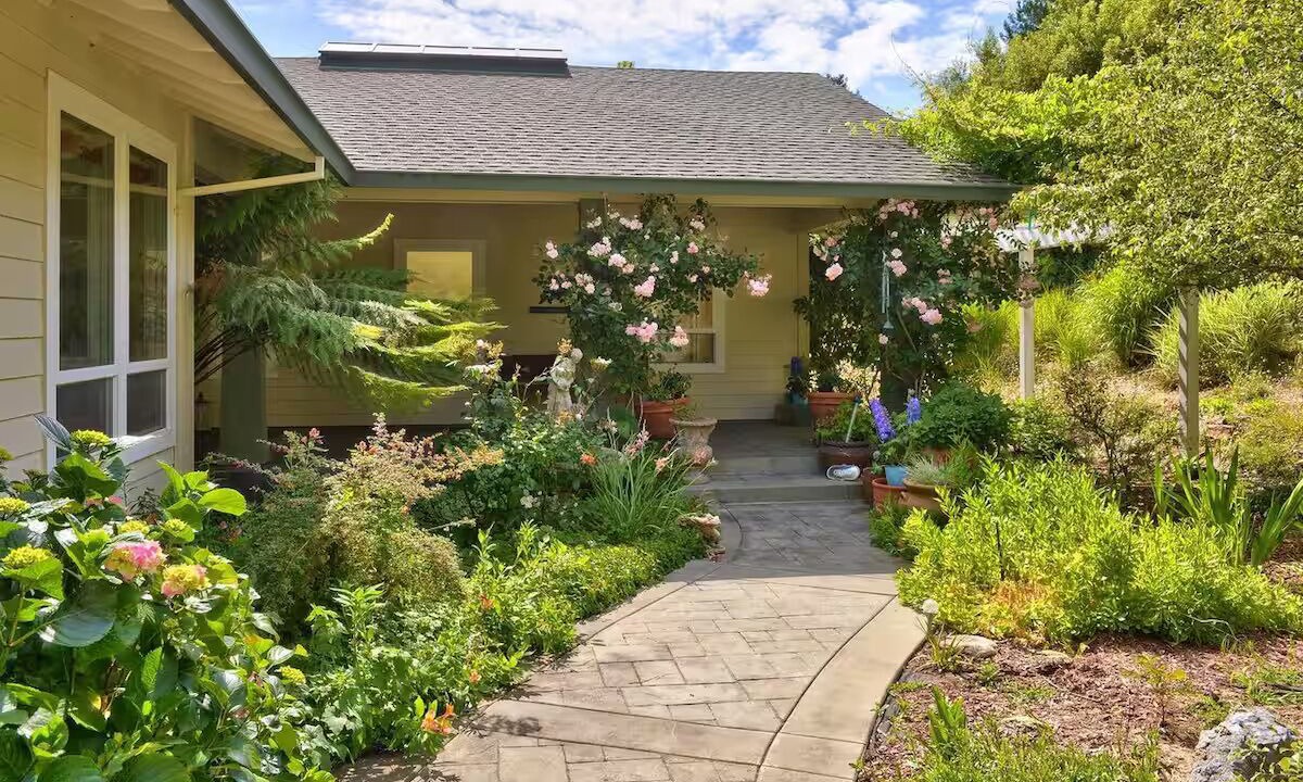 Photo of Outdoor in Occidental
