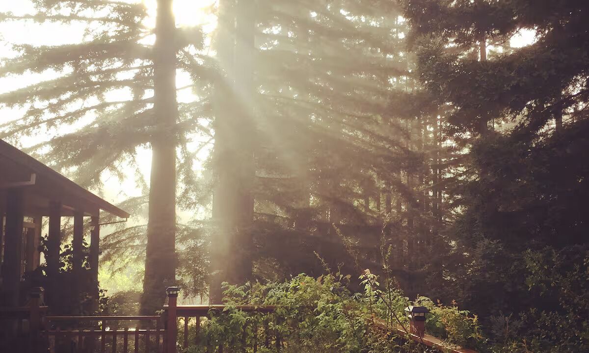 Photo of Outdoor in Occidental