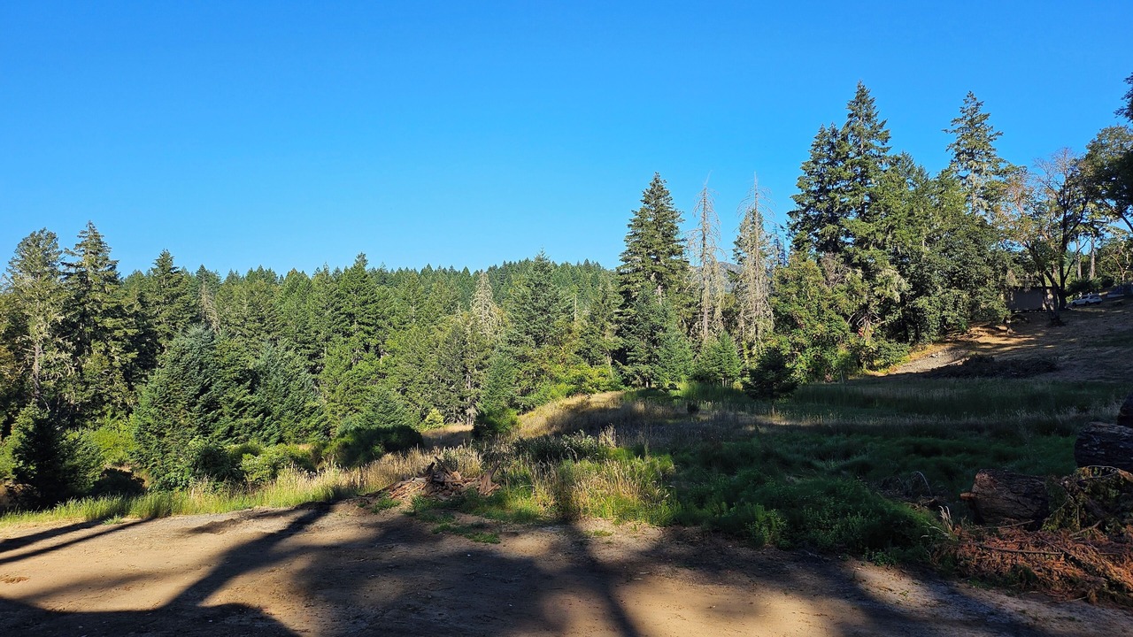 Photo of Others in Willits
