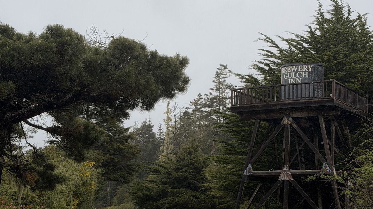 Photo of Others in Mendocino