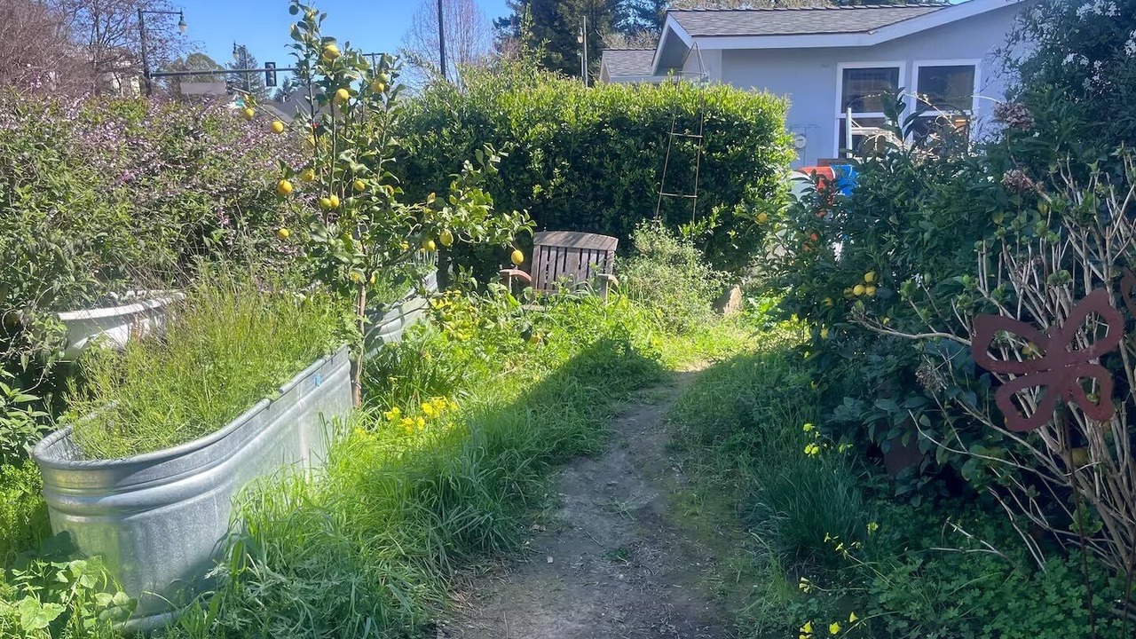 Photo of Outdoor in Petaluma