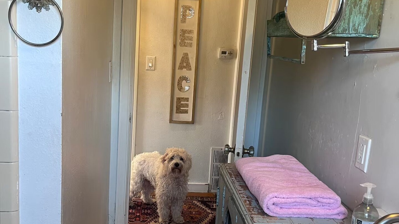 Photo of Bathroom in Petaluma