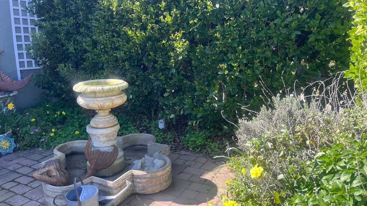 Photo of Outdoor in Petaluma