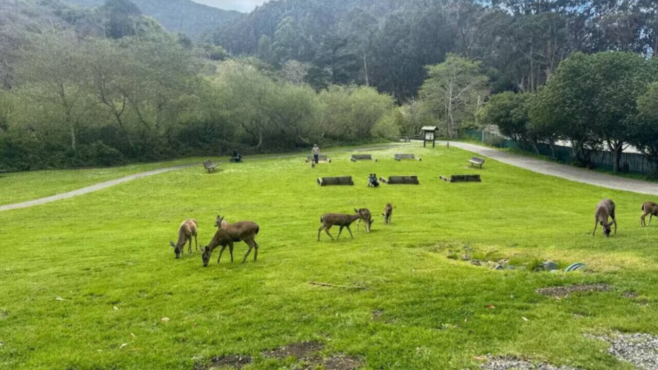 Photo of Others in Sharp Park