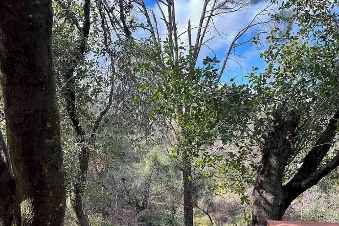 Photo of Outdoor in Redding