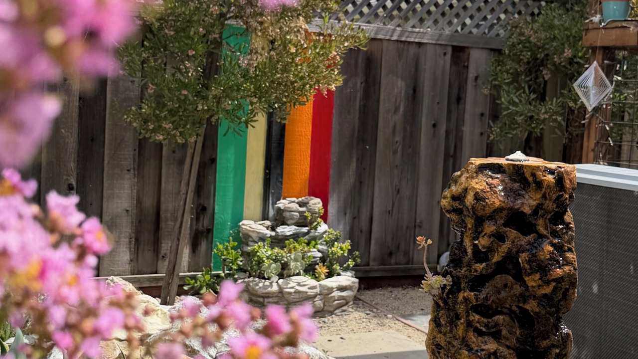Photo of Outdoor in San Jose