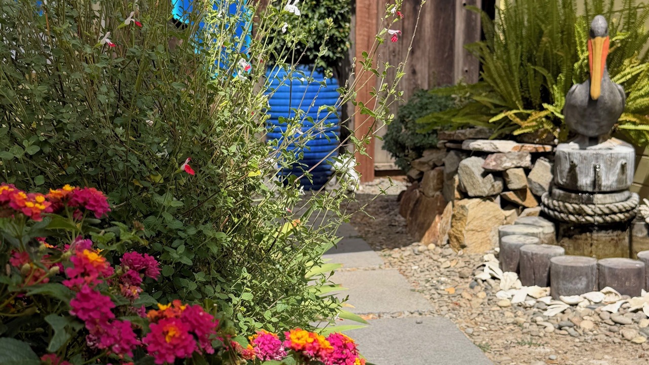 Photo of Outdoor in San Jose