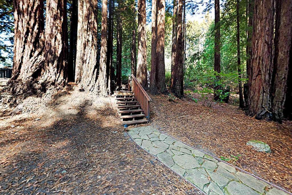 Photo of Others in Cazadero