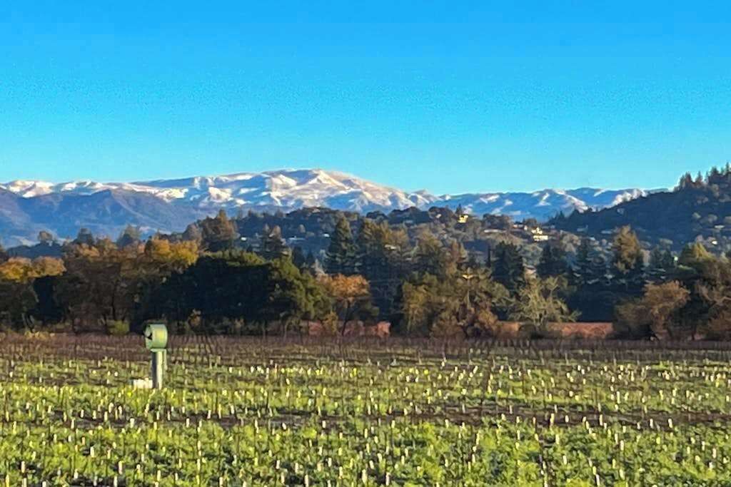 Photo of Others in Healdsburg