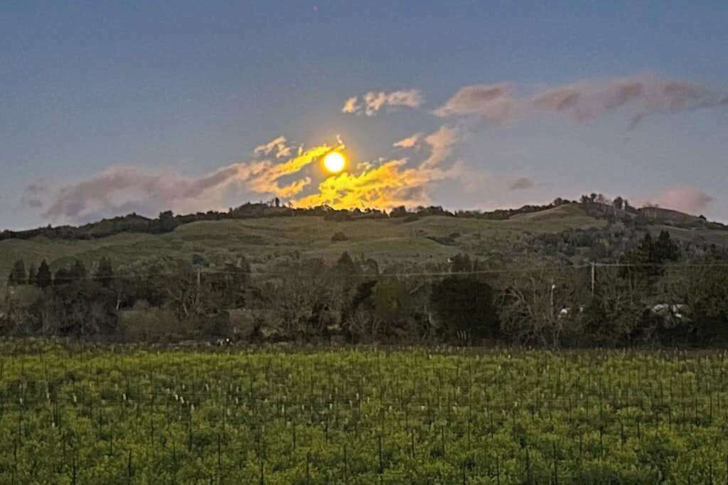 Photo of Others in Healdsburg