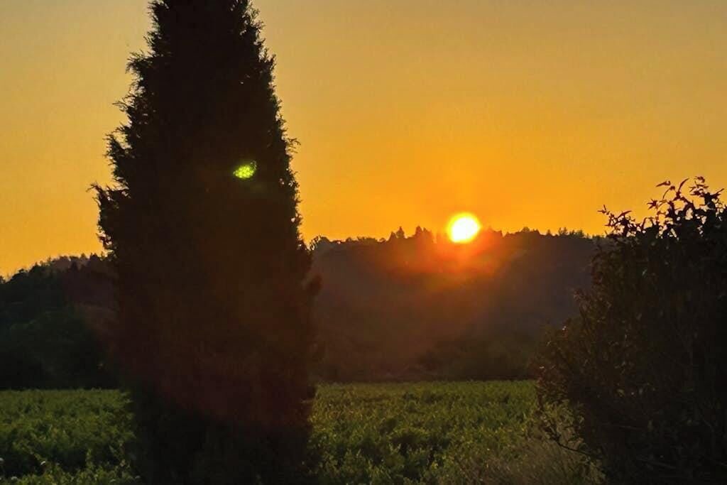 Photo of Others in Healdsburg