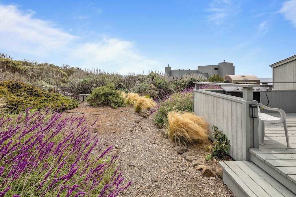 Photo of Outdoor in Bodega Bay