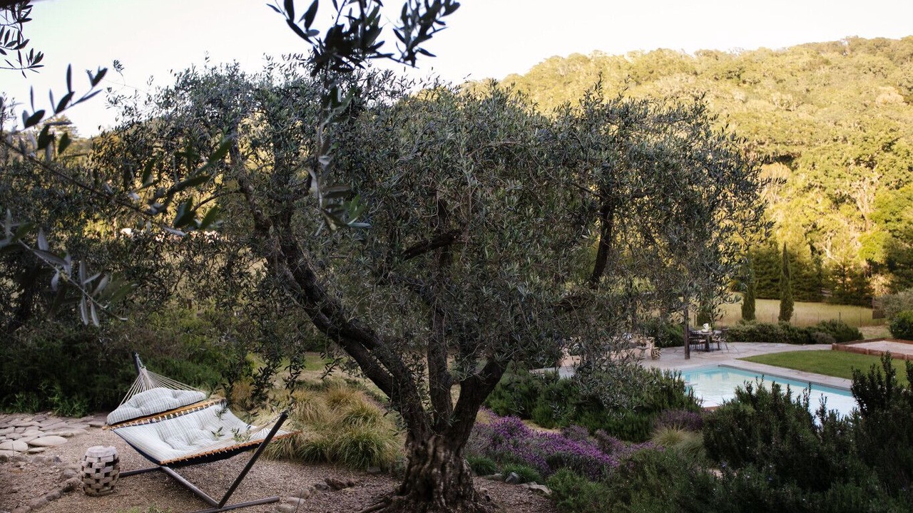 Photo of Outdoor in Glen Ellen