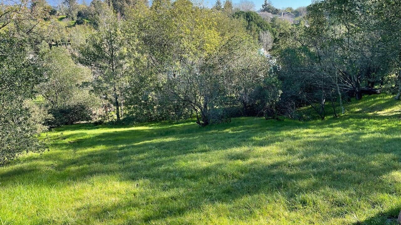 Photo of Others in Napa
