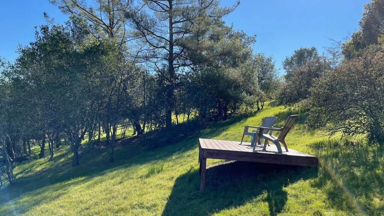 Photo of Others in Napa