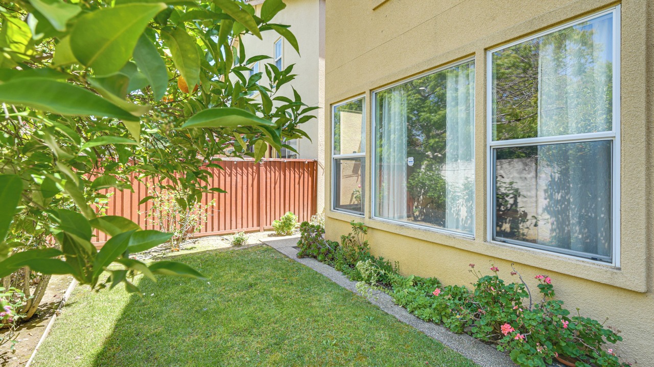 Photo of Outdoor in East San Jose