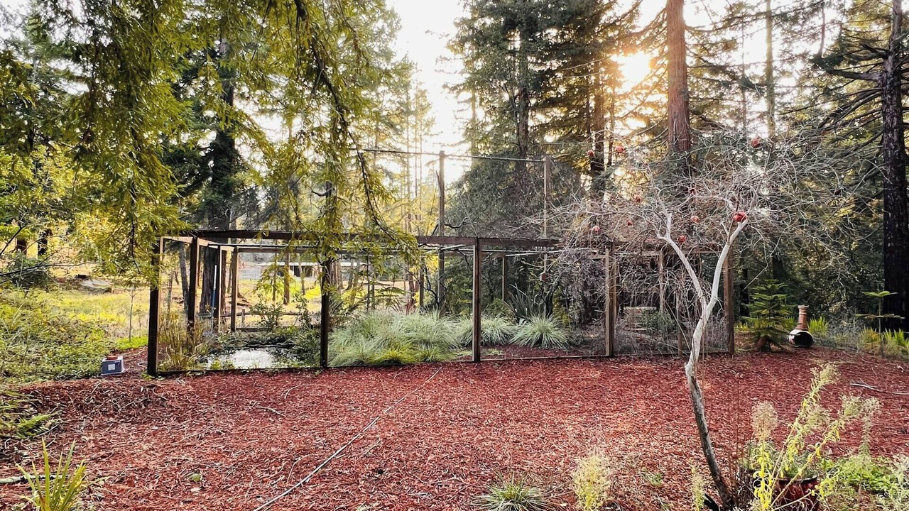 Photo of Outdoor in Freestone
