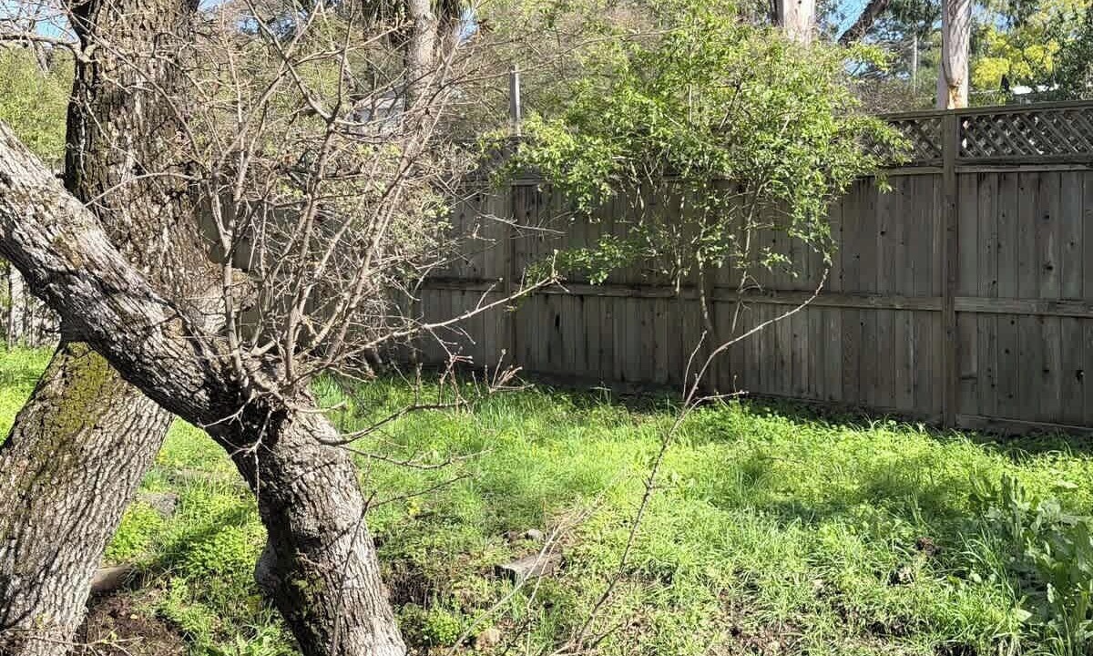 Photo of Outdoor in San Marin