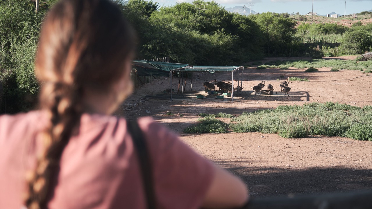 Photo of Others in Oudtshoorn