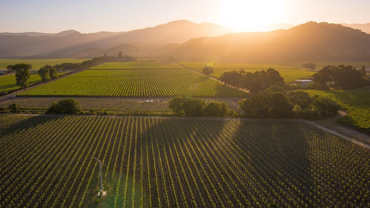 Photo of Outdoor in Napa