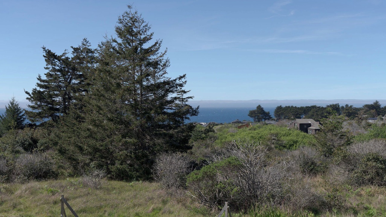 Photo of Others in Sea Ranch