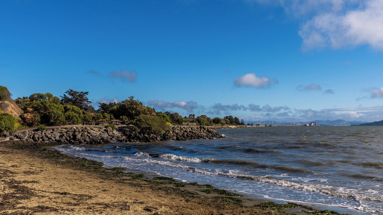 Photo of Others in Point Richmond