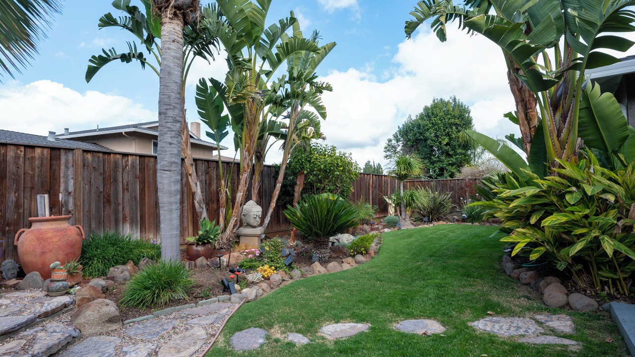 Photo of Outdoor in South San Jose