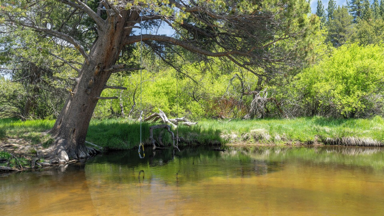 Photo of Others in Sierra Tract