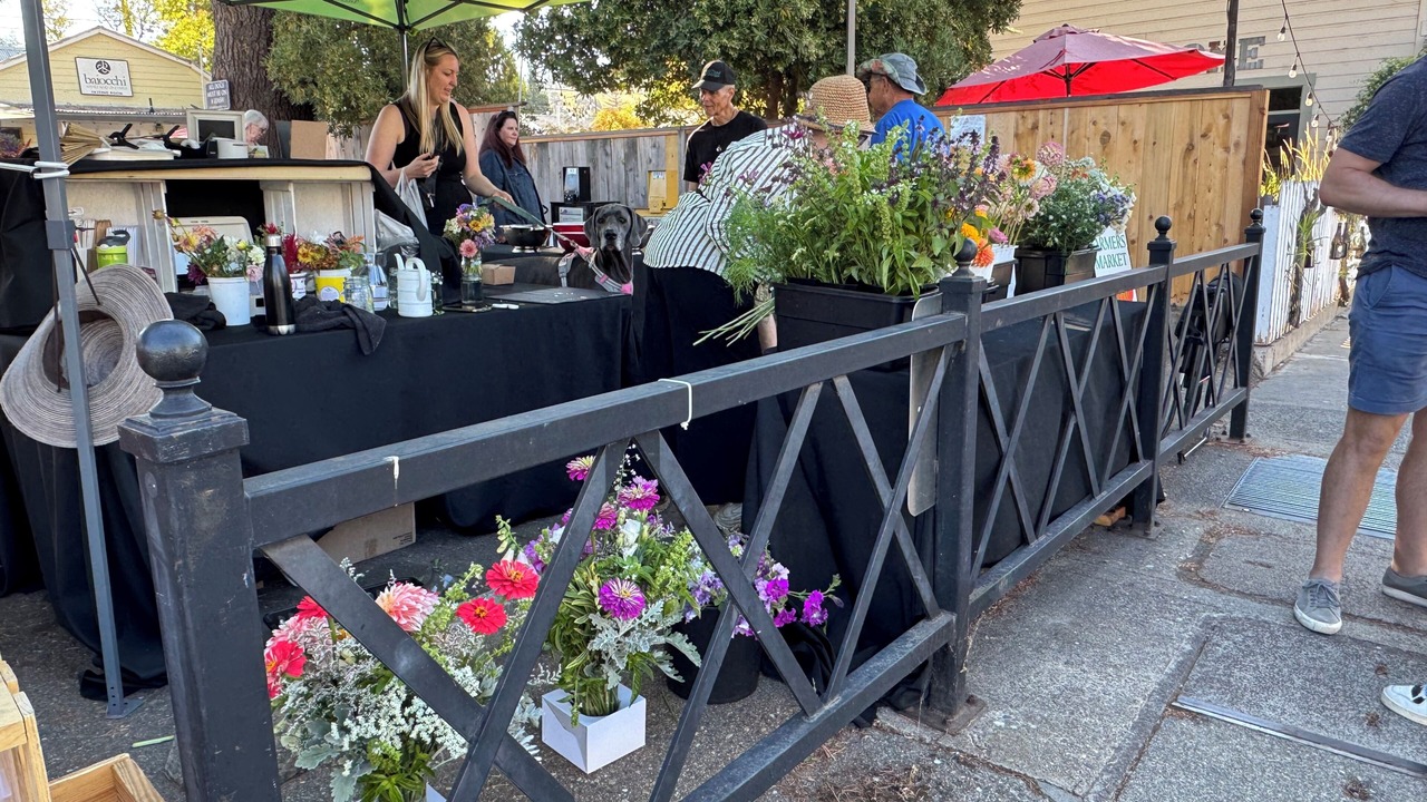 Photo of Outdoor in Sutter Creek