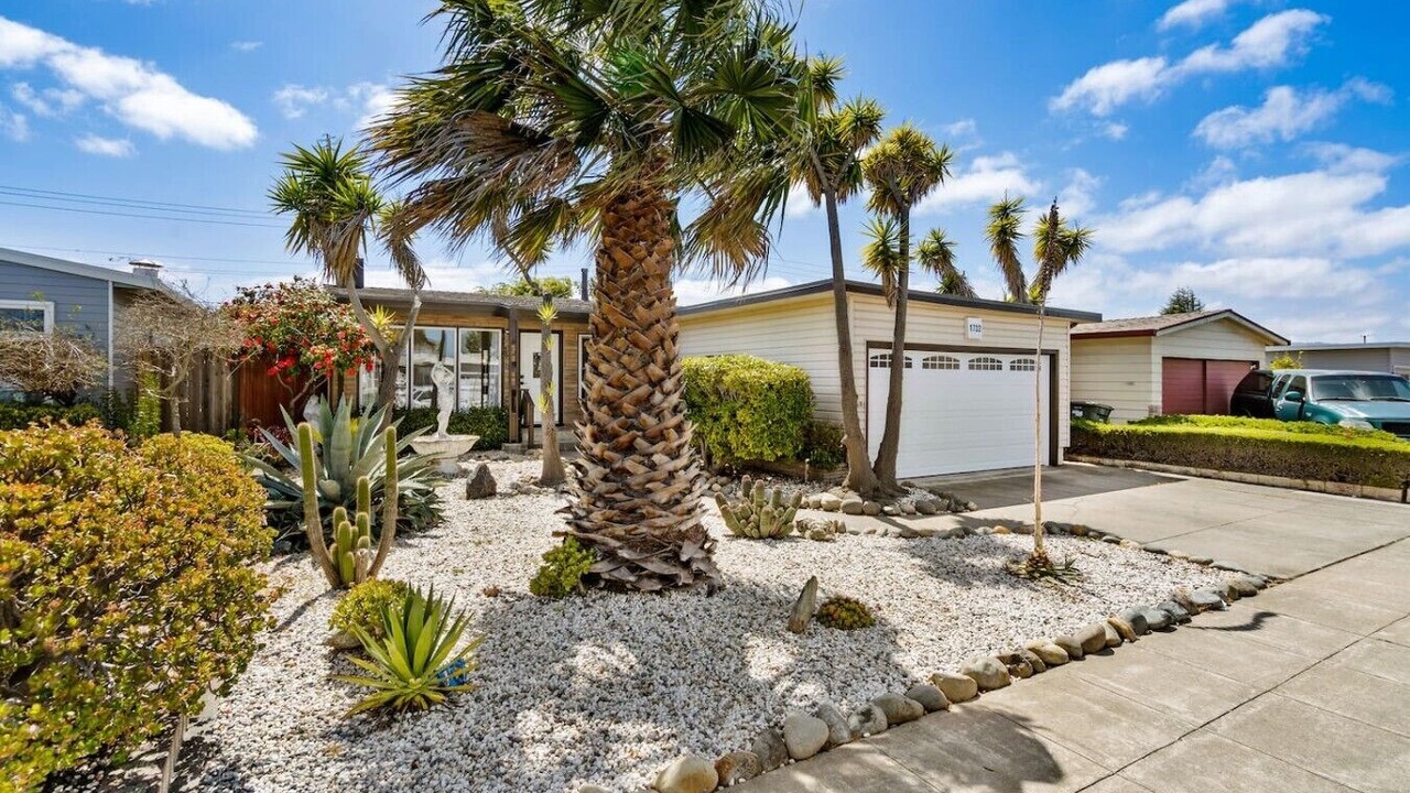 Photo of Outdoor in East San Mateo