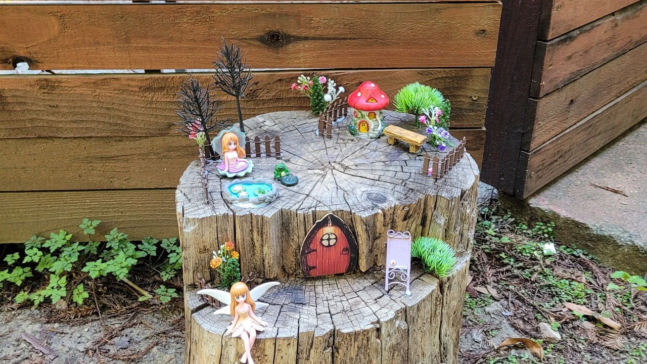 Photo of Outdoor in Guerneville