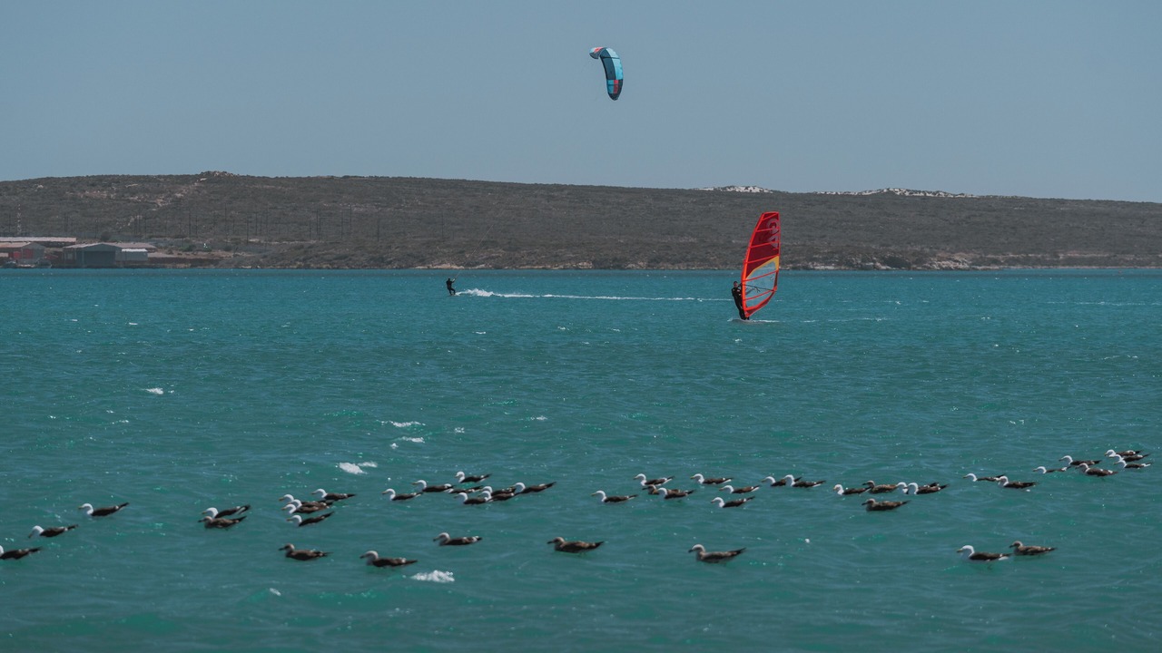 Photo of Others in Langebaan